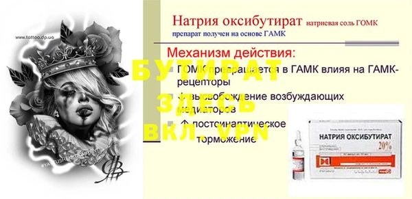 гашик Алексин