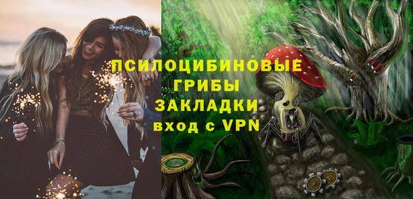 гашик Алексин