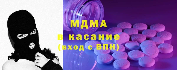 гашик Алексин