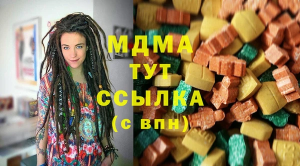 гашик Алексин