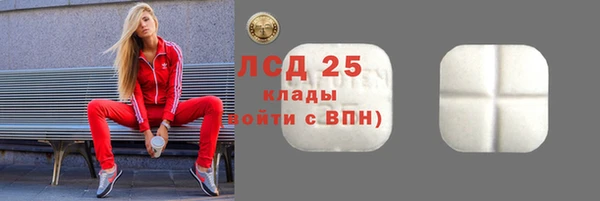 гашик Алексин