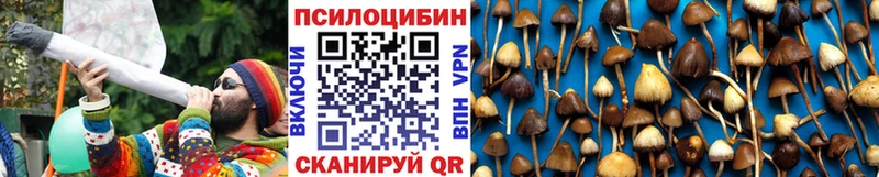 Псилоцибиновые грибы мухоморы  Чердынь 